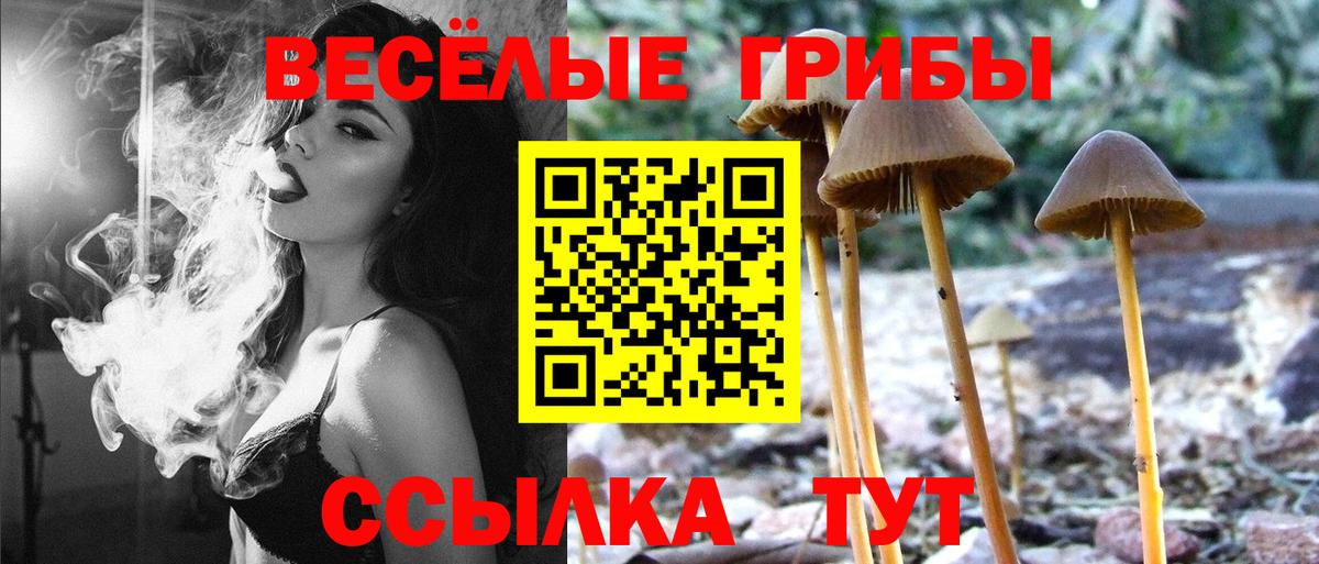 Троицк  где продают наркотики  Вход с VPN  Галлюциногенные грибы ЛСД 