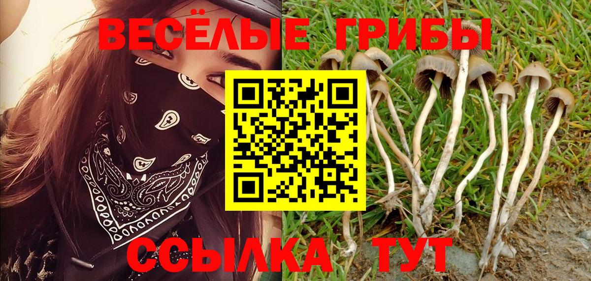 Псилоцибиновые грибы Cubensis Троицк
